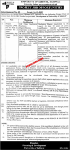 University of Sahiwal Jobs 2024 Advertisement